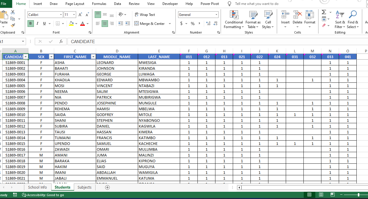 Excel output example